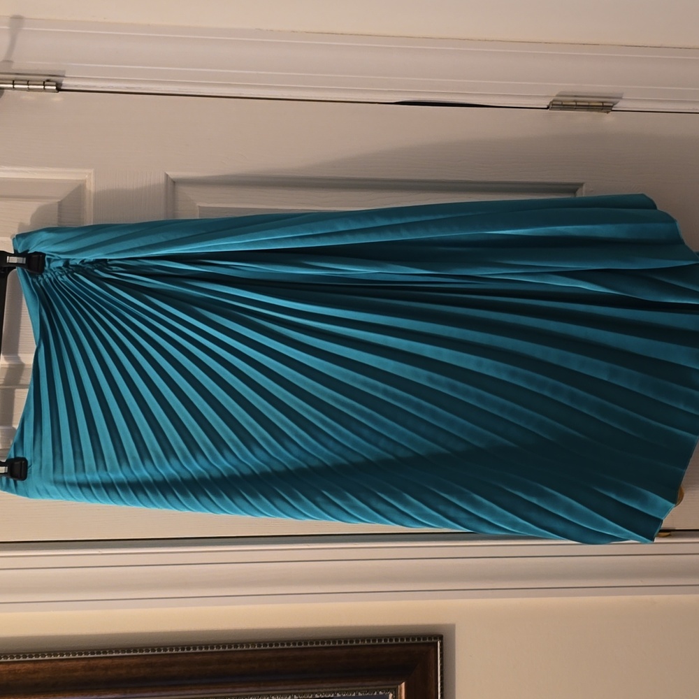 WORTHINGTON BRAND WOMEN'S PLUS SIZE GREEN FANCY PLEATED SKIRT SIZE XXL